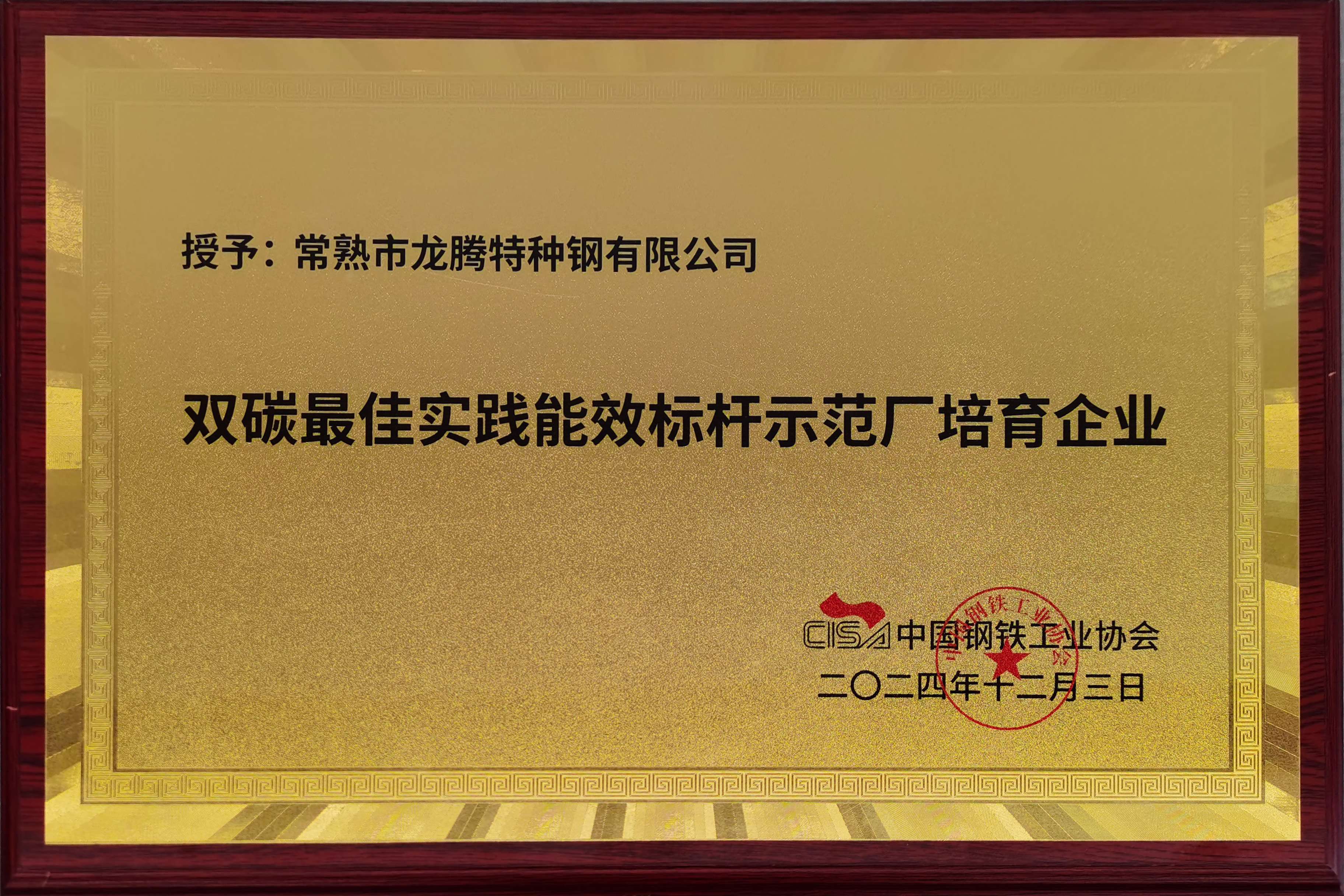 81、20241203双碳最佳实践能效标杆树模厂培育企业2.jpg